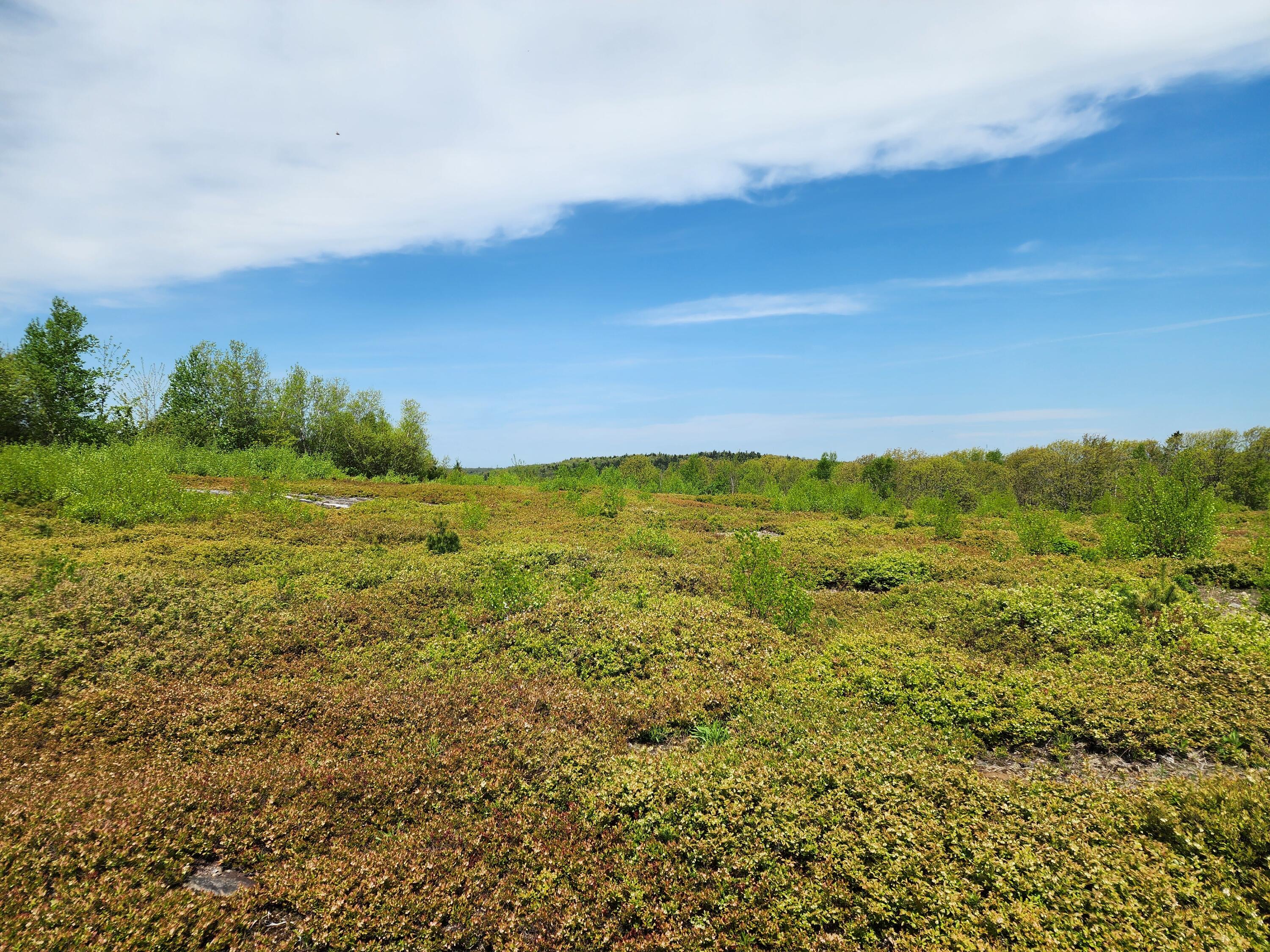 3 Whispering Berries Hill Liberty ME 04949