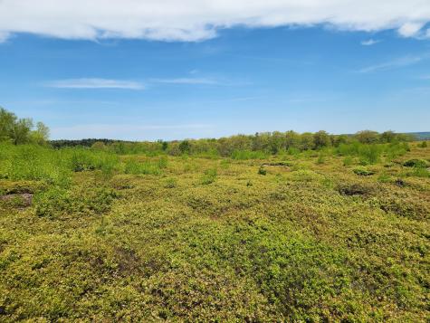 3 Whispering Berries Hill Liberty ME 04949