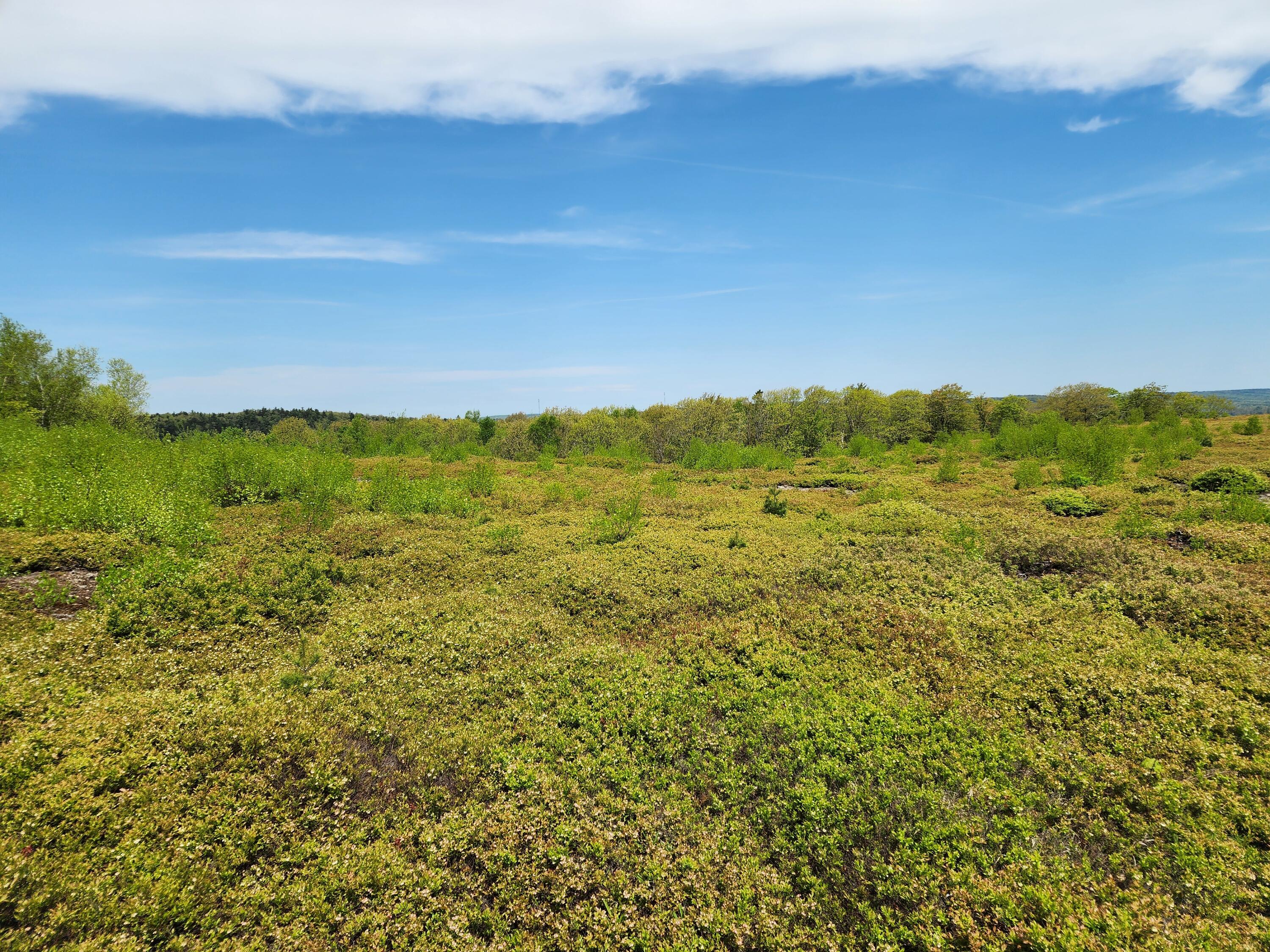 3 Whispering Berries Hill Liberty ME 04949