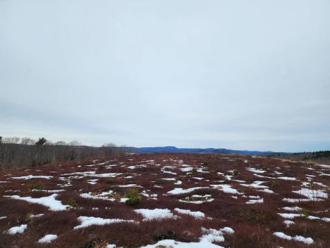 3 Whispering Berries Hill Liberty ME 04949