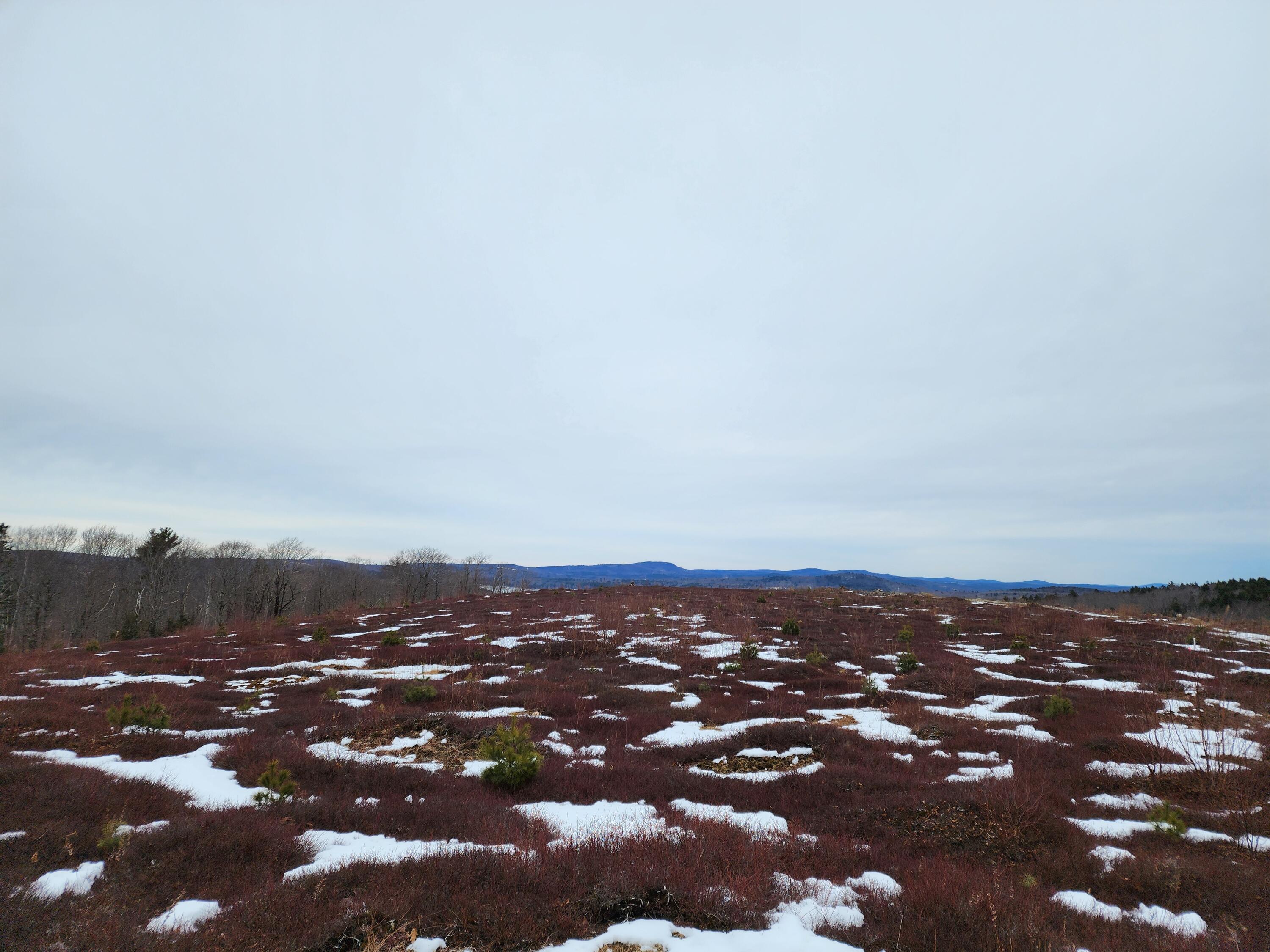 3 Whispering Berries Hill Liberty ME 04949