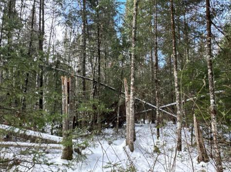 M11L6 Lot 1 Woodville Road Chester ME 04457