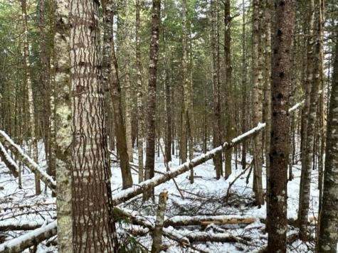 M11L6 Lot 1 Woodville Road Chester ME 04457