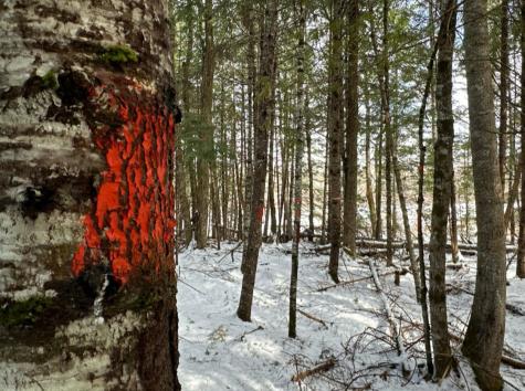 M11L6 Lot 1 Woodville Road Chester ME 04457