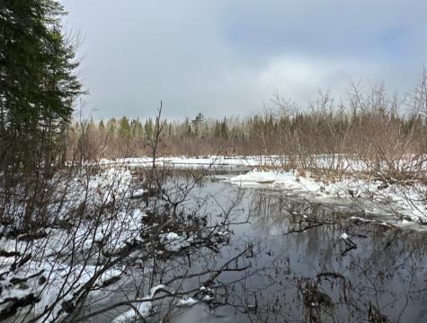 M11L6 Lot 1 Woodville Road Chester ME 04457