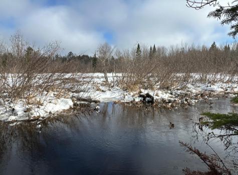 M11L6 Lot 1 Woodville Road Chester ME 04457