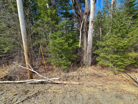 M11L6 Lot 1 Woodville Road Chester ME 04457