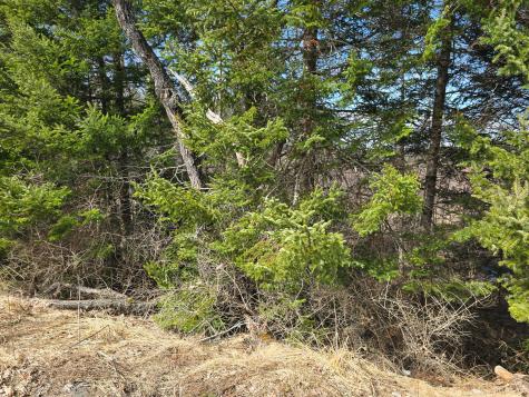 M11L6 Lot 1 Woodville Road Chester ME 04457