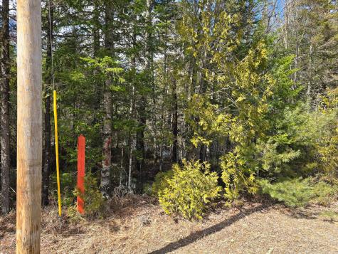 M11L6 Lot 1 Woodville Road Chester ME 04457