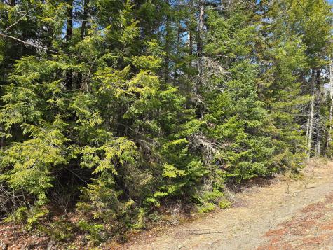 M11L6 Lot 1 Woodville Road Chester ME 04457