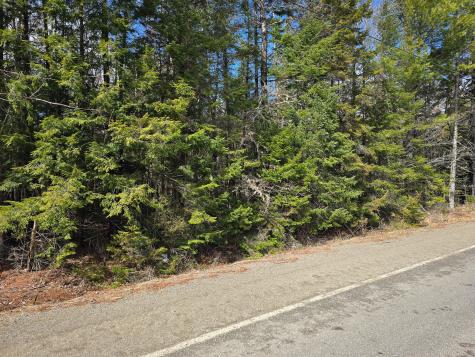 M11L6 Lot 1 Woodville Road Chester ME 04457