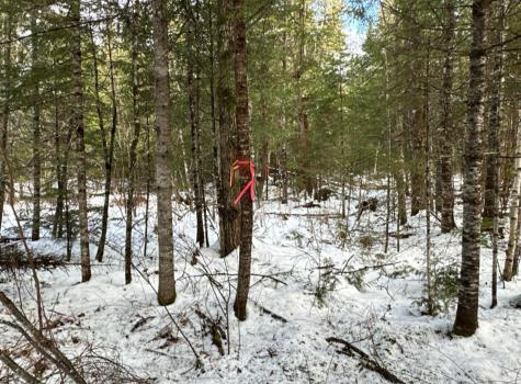 M11L6 Lot 1 Woodville Road Chester ME 04457