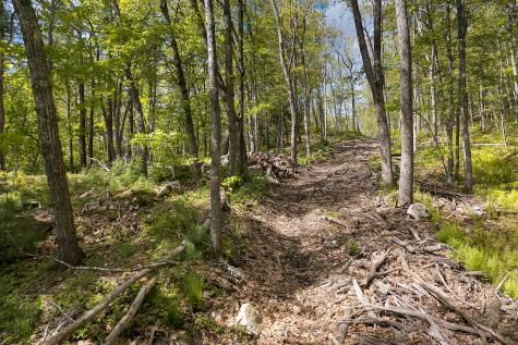 0 High Street Bath ME 04530