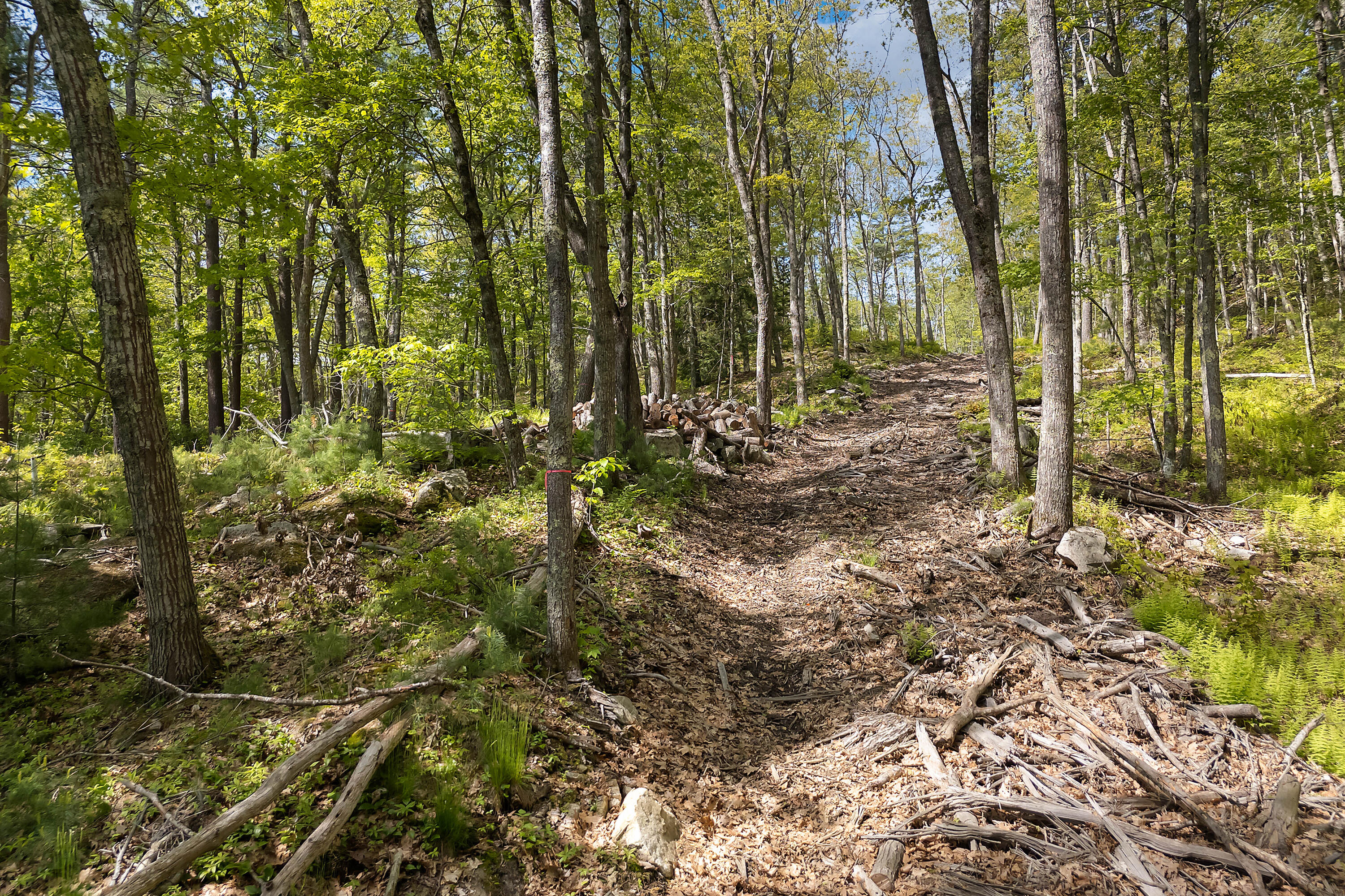 0 High Street Bath ME 04530