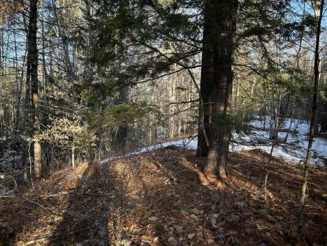 MAP13LOT11 Field View Road Fryeburg ME 04037