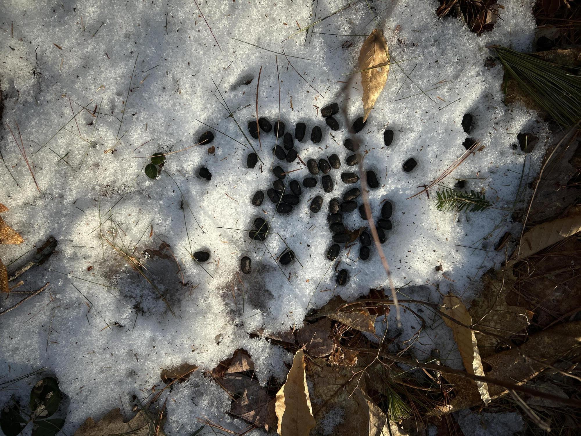 MAP13LOT11 Field View Road Fryeburg ME 04037