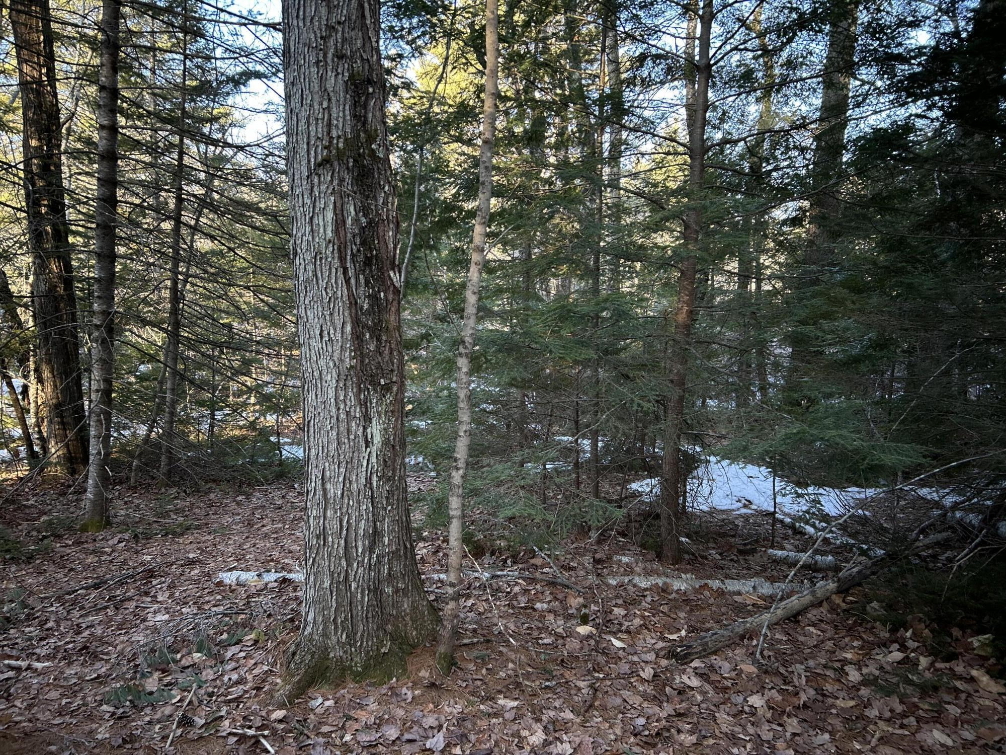 MAP13LOT11 Field View Road Fryeburg ME 04037