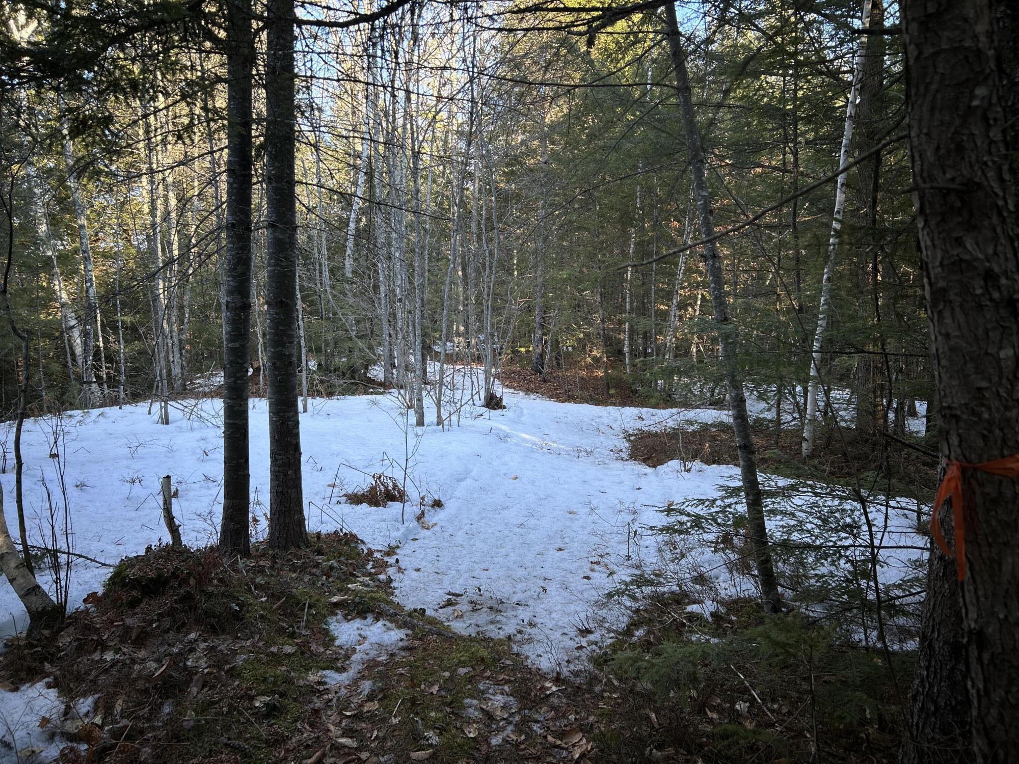 MAP13LOT11 Field View Road Fryeburg ME 04037