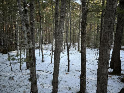 MAP13LOT11 Field View Road Fryeburg ME 04037