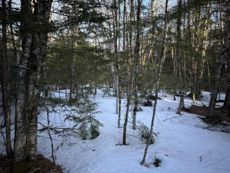 MAP13LOT11 Field View Road Fryeburg ME 04037