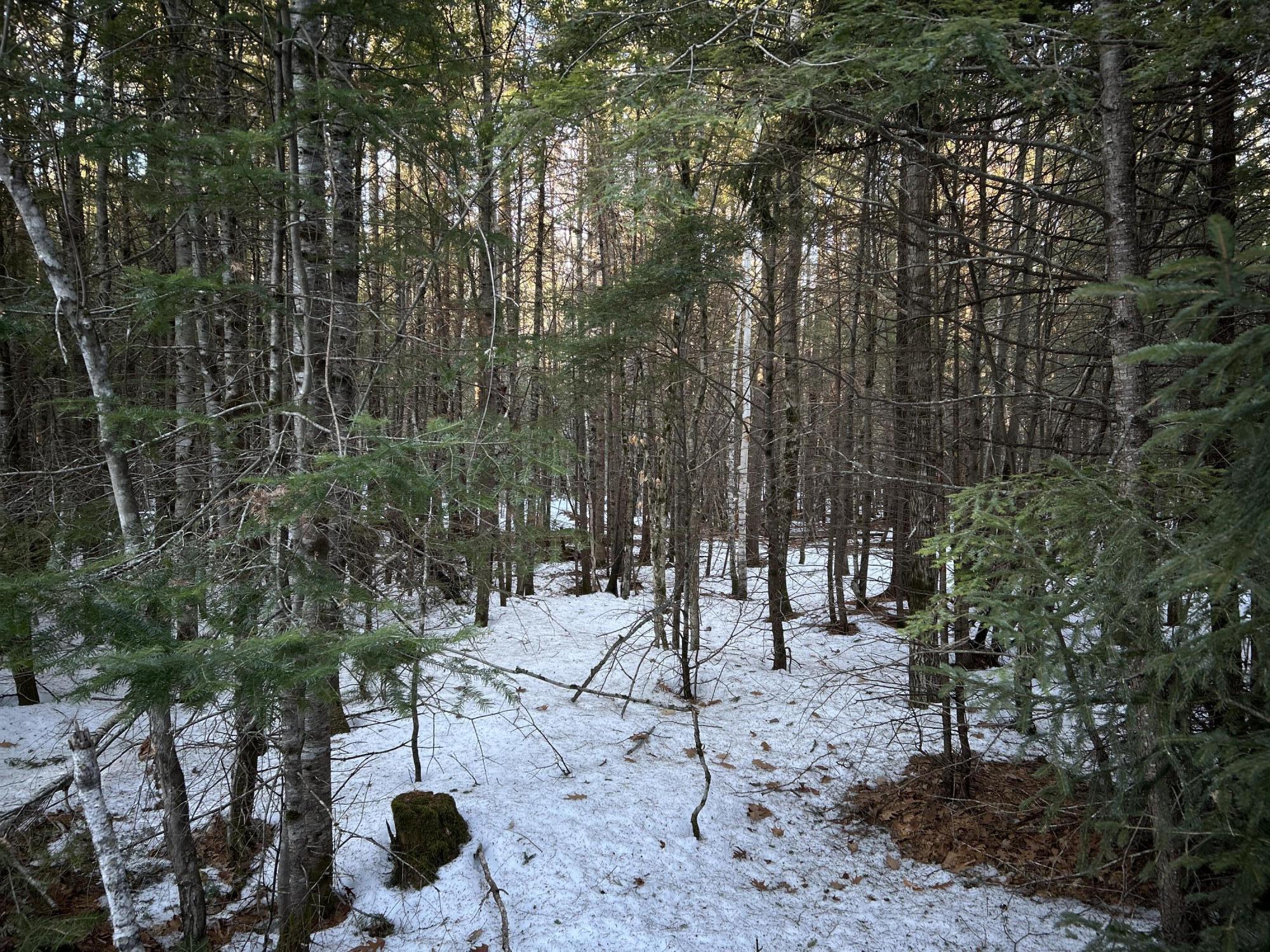 MAP13LOT11 Field View Road Fryeburg ME 04037