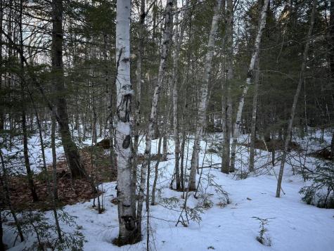 MAP13LOT11 Field View Road Fryeburg ME 04037