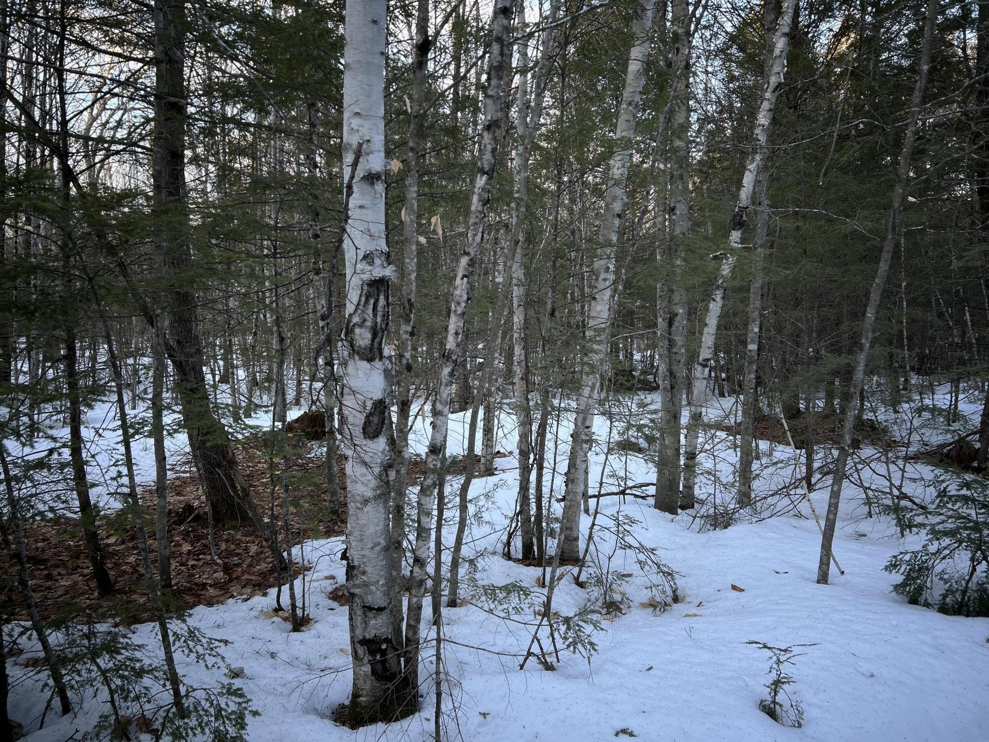 MAP13LOT11 Field View Road Fryeburg ME 04037