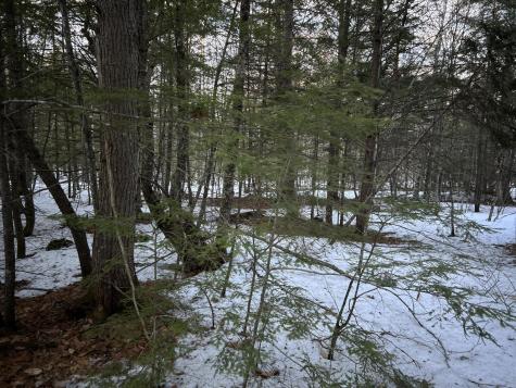 MAP13LOT11 Field View Road Fryeburg ME 04037