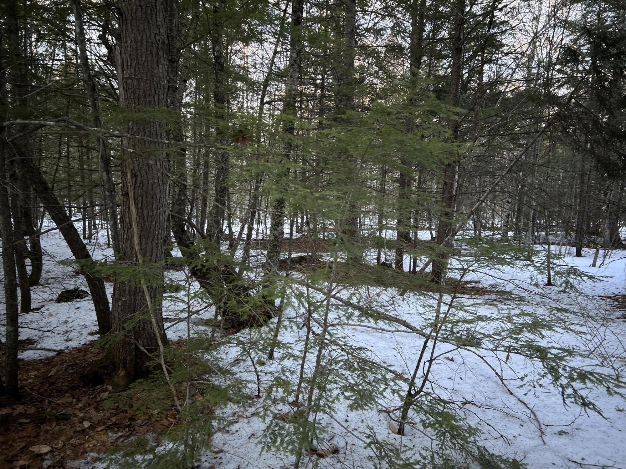 MAP13LOT11 Field View Road Fryeburg ME 04037