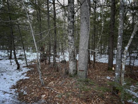 MAP13LOT11 Field View Road Fryeburg ME 04037