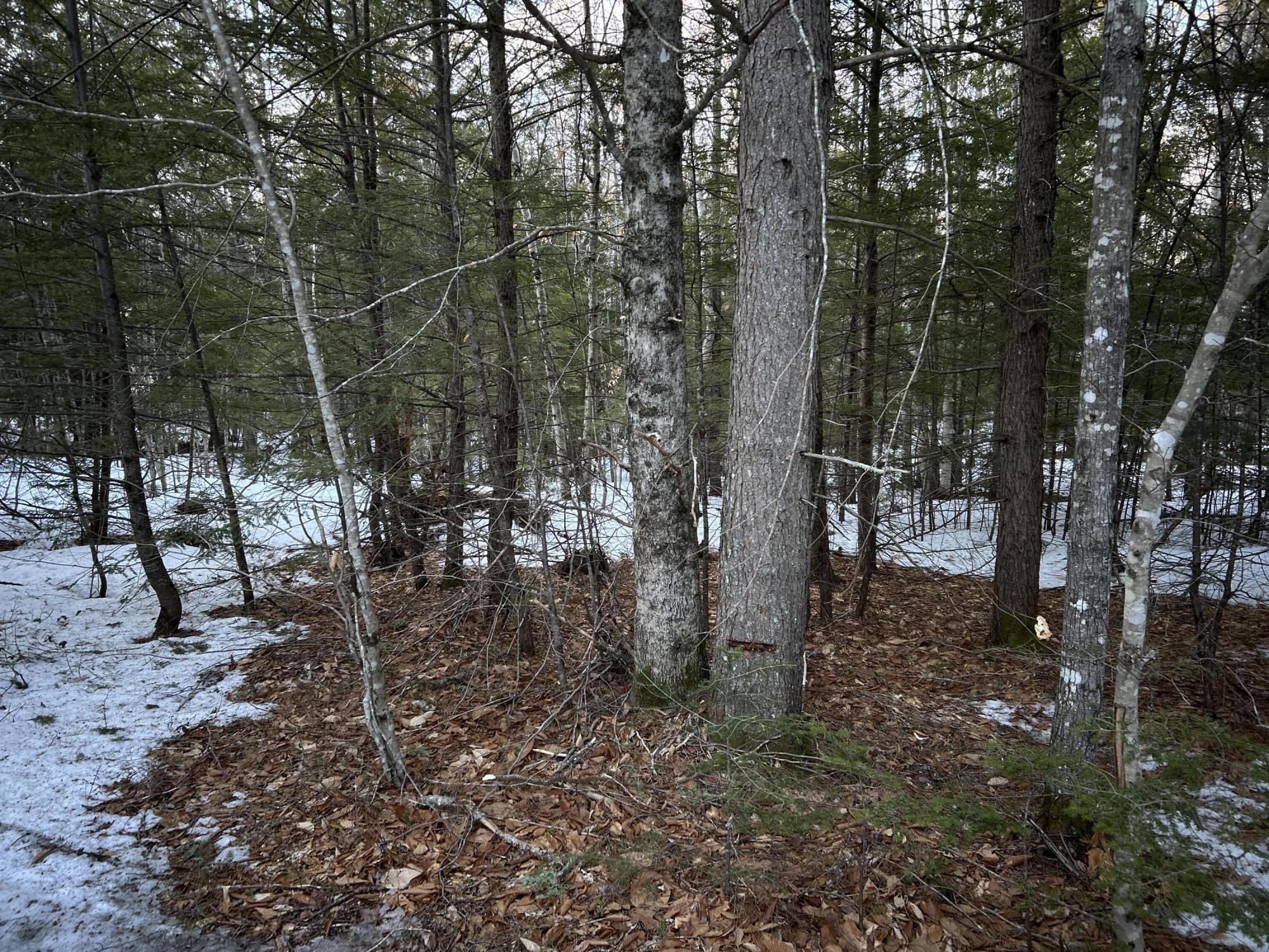 MAP13LOT11 Field View Road Fryeburg ME 04037