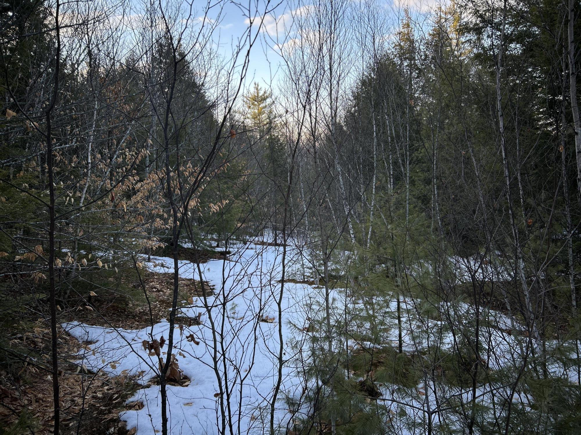 MAP13LOT11 Field View Road Fryeburg ME 04037