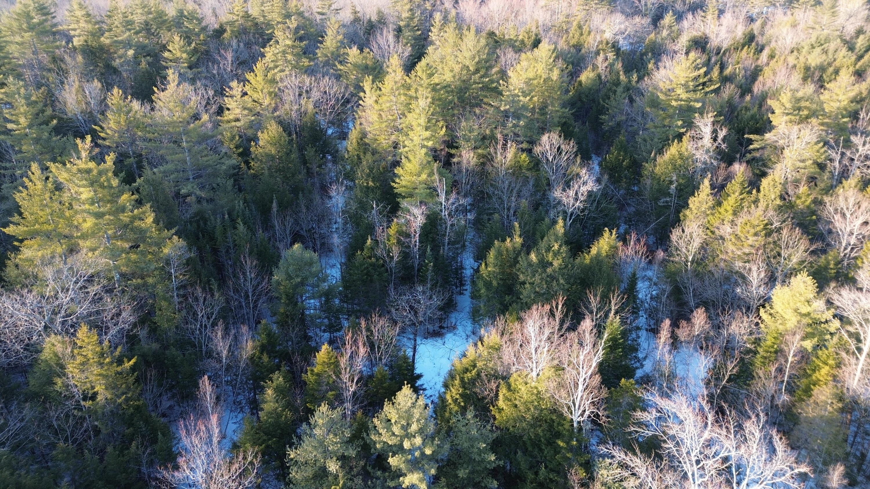 MAP13LOT11 Field View Road Fryeburg ME 04037