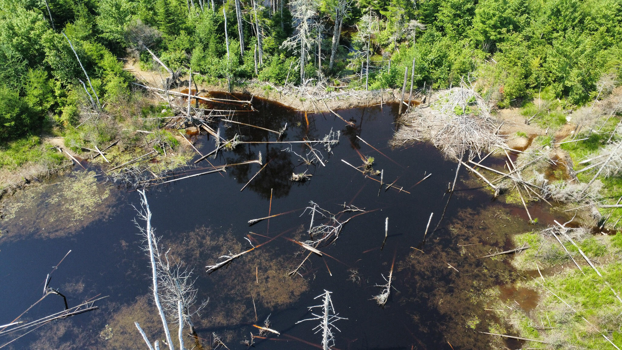 L11-2 Station Road Jonesboro ME 04648