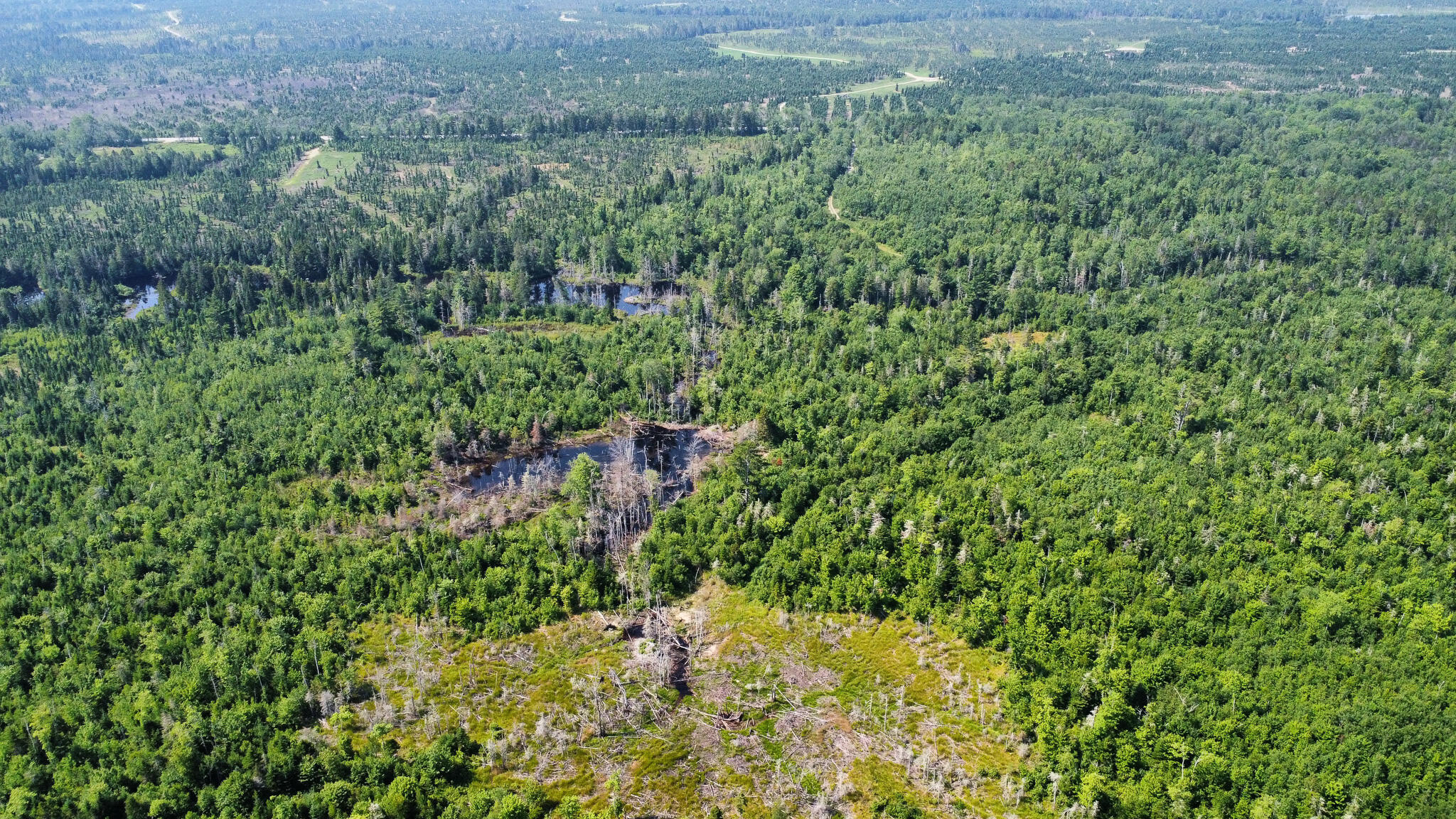 L11-2 Station Road Jonesboro ME 04648