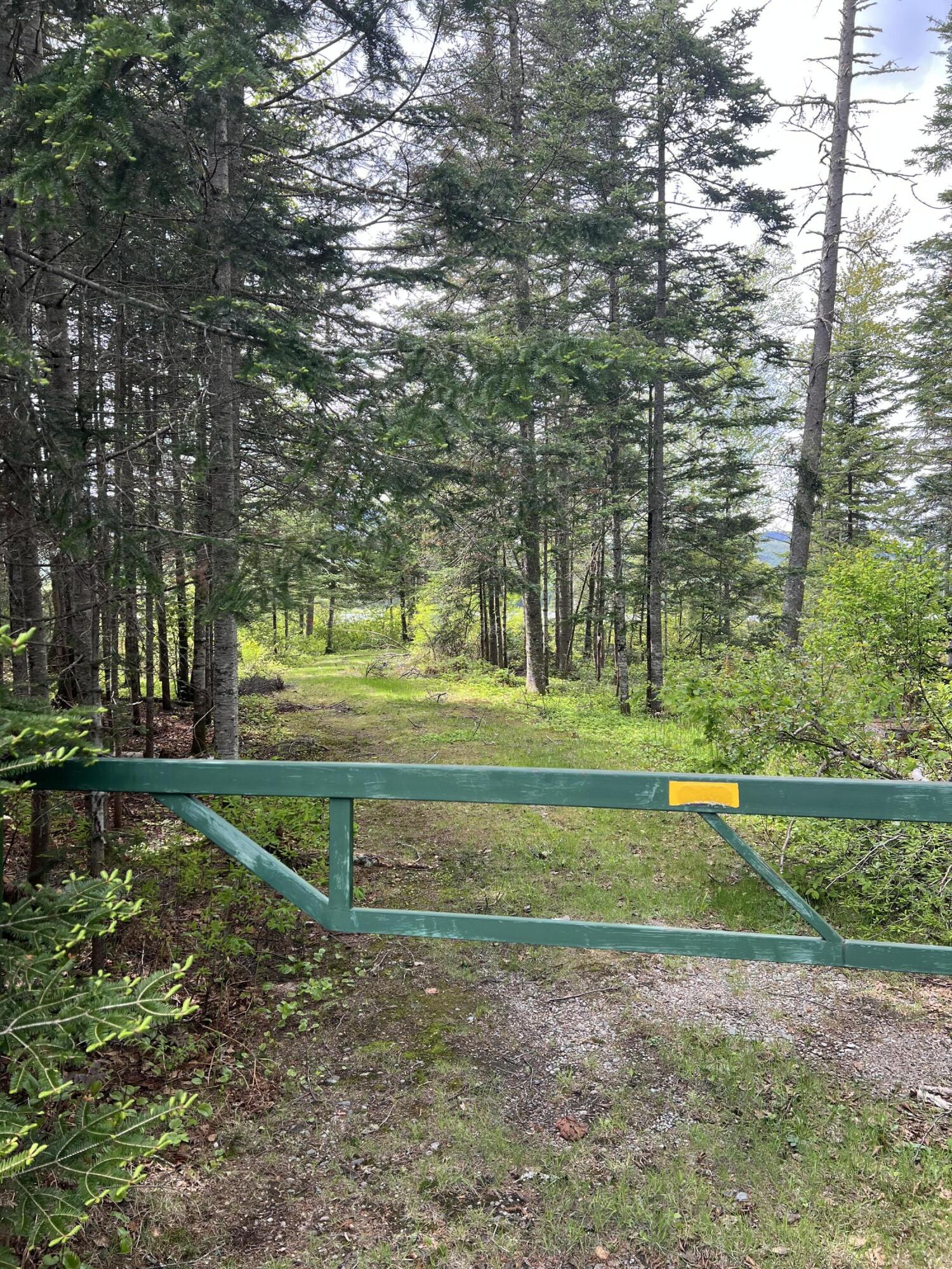 Lot 2 Kennebago River Road Stetsontown Twp ME 04970
