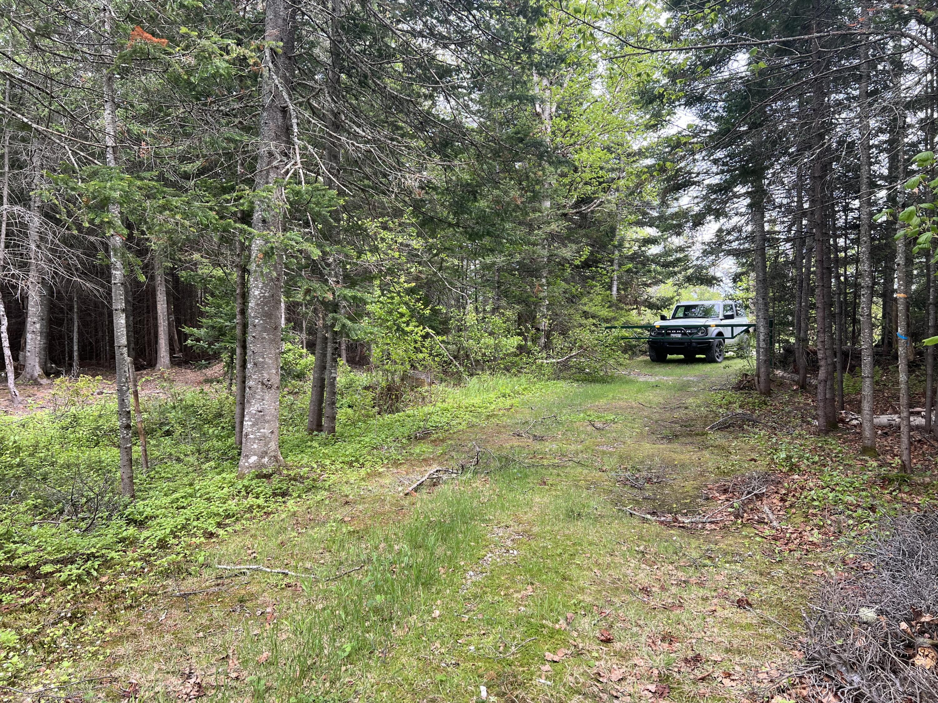 Lot 2 Kennebago River Road Stetsontown Twp ME 04970