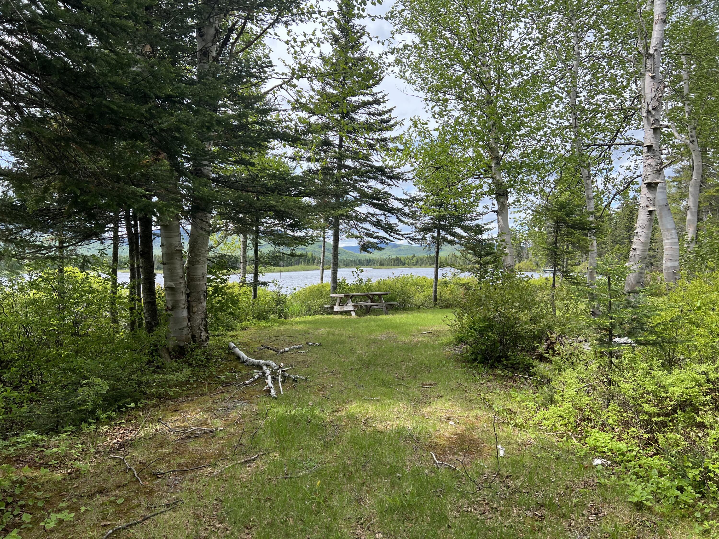 Lot 2 Kennebago River Road Stetsontown Twp ME 04970