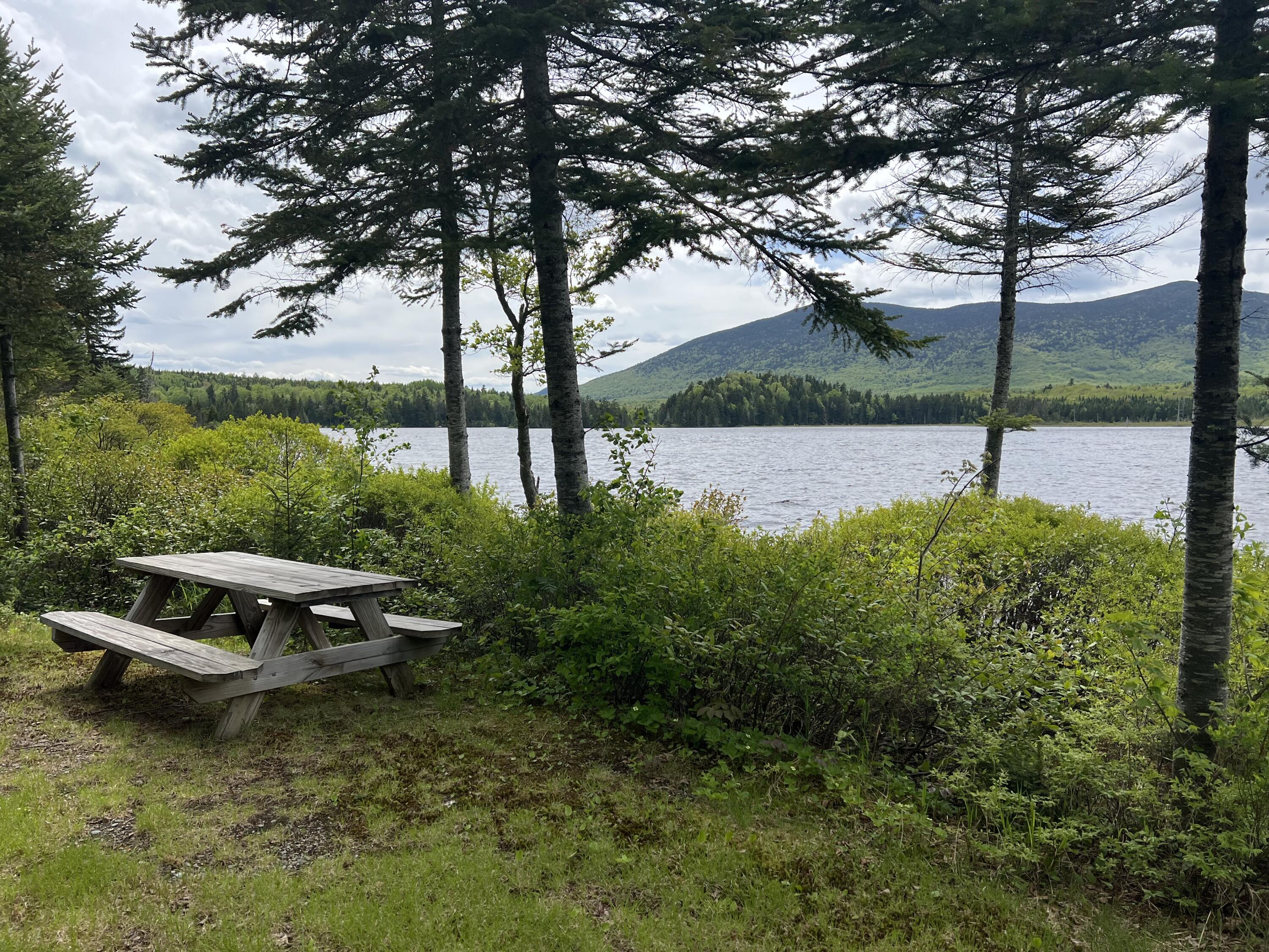 Lot 2 Kennebago River Road Stetsontown Twp ME 04970