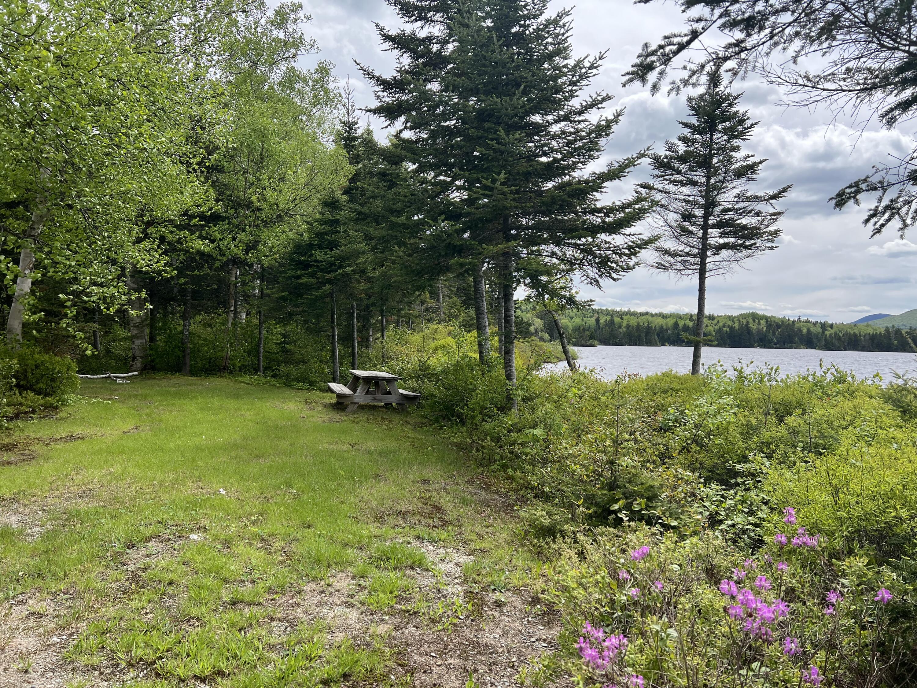Lot 2 Kennebago River Road Stetsontown Twp ME 04970