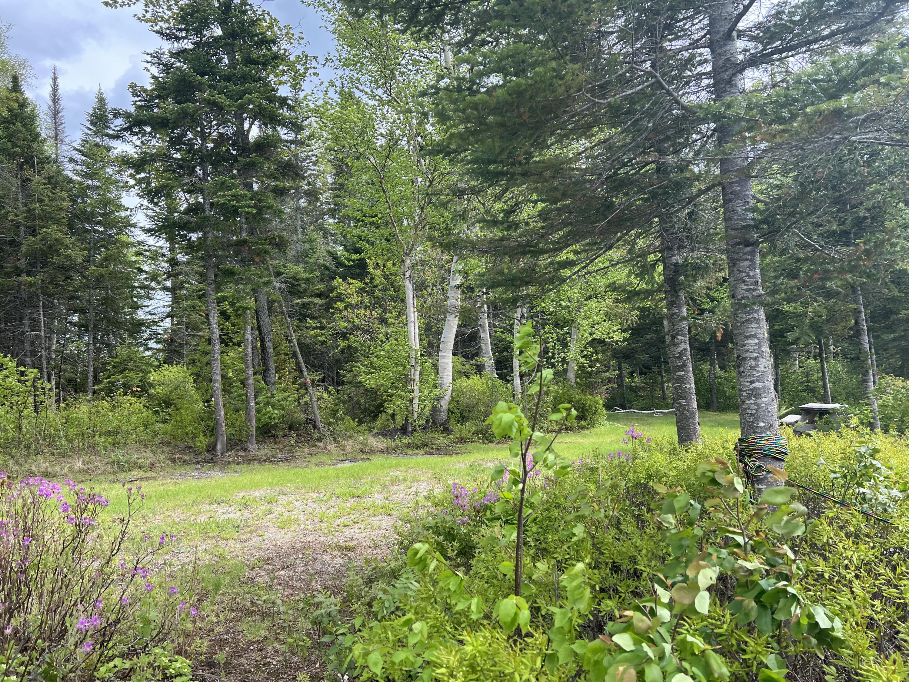 Lot 2 Kennebago River Road Stetsontown Twp ME 04970
