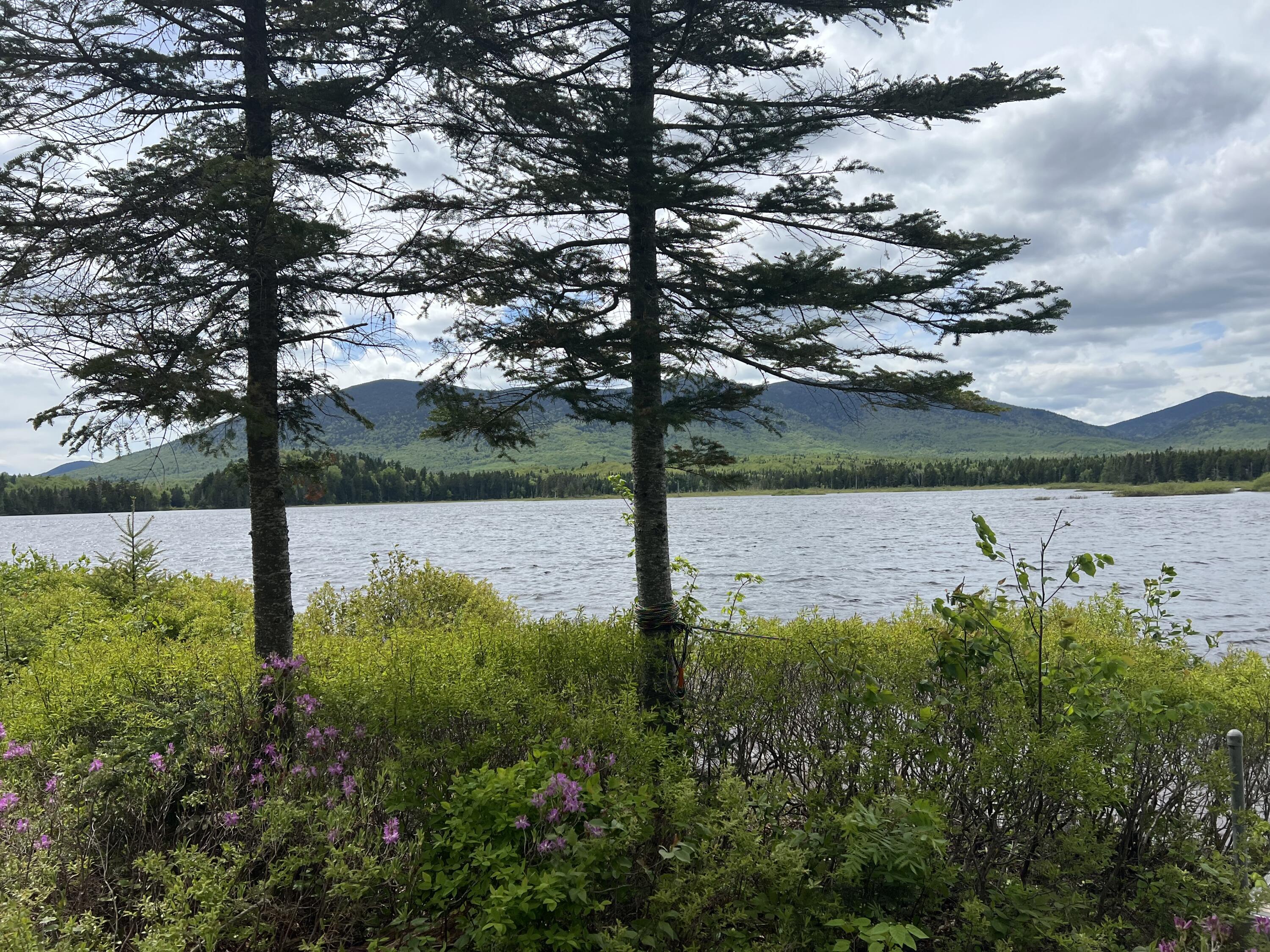 Lot 2 Kennebago River Road Stetsontown Twp ME 04970