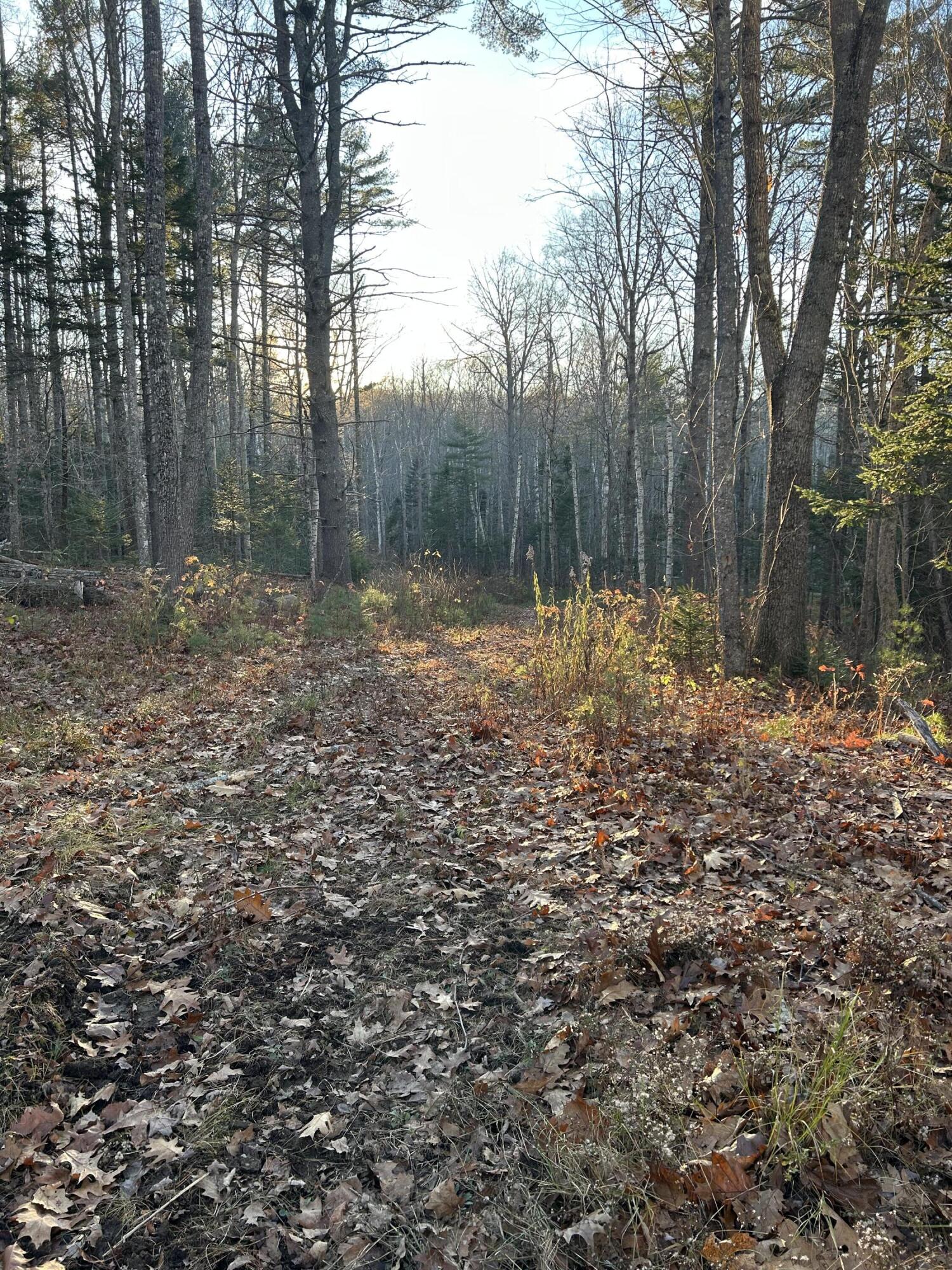 111 Start Road Camden ME 04843