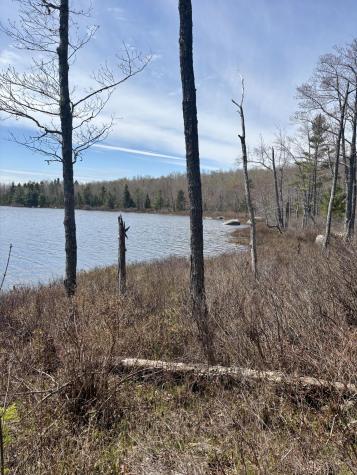 Map8lot30 Off Walker Heights Orland ME 04472