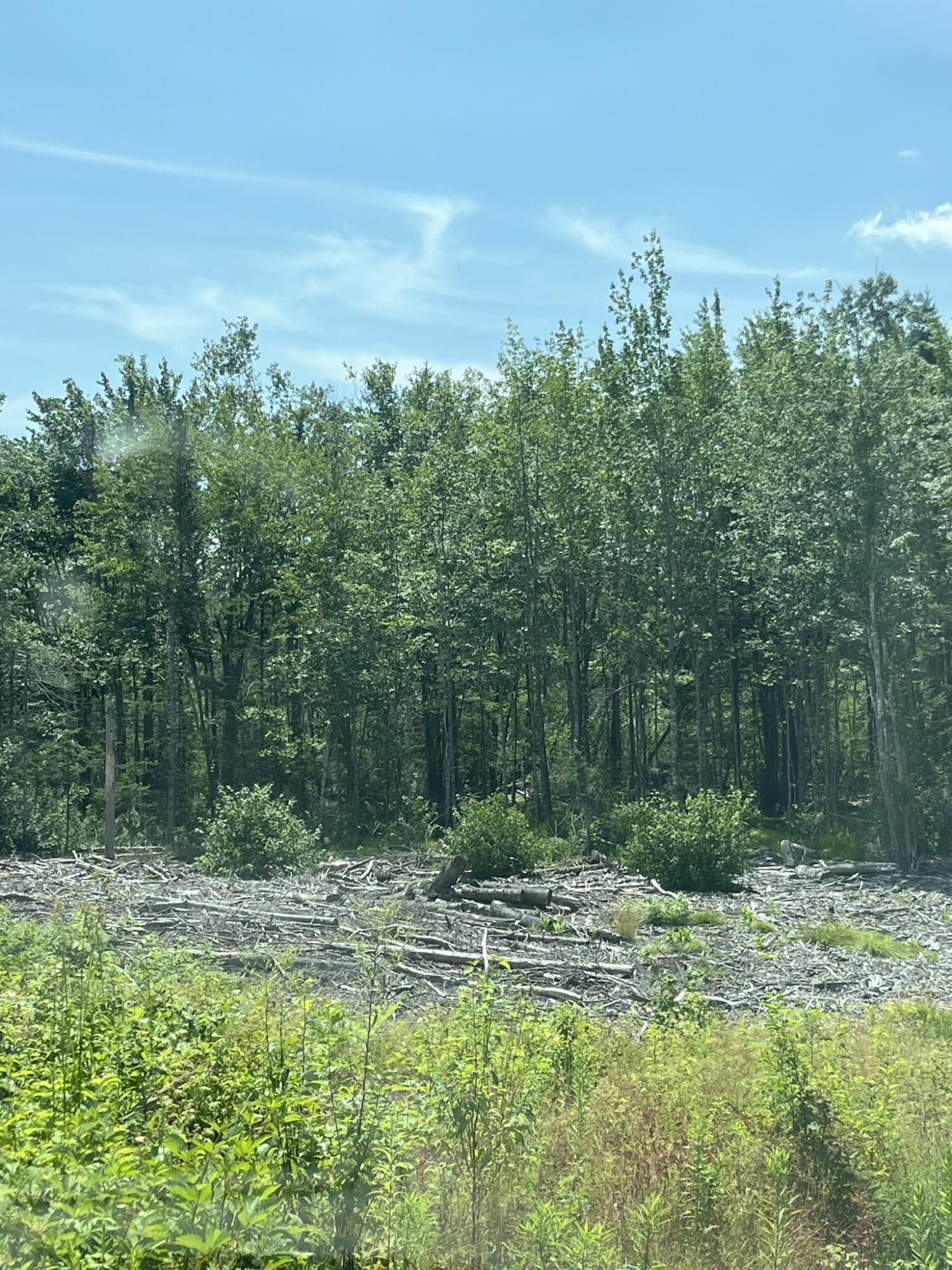 M12L1 Ayers Junction Road Pembroke ME 04666