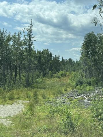 M12L1 Ayers Junction Road Pembroke ME 04666