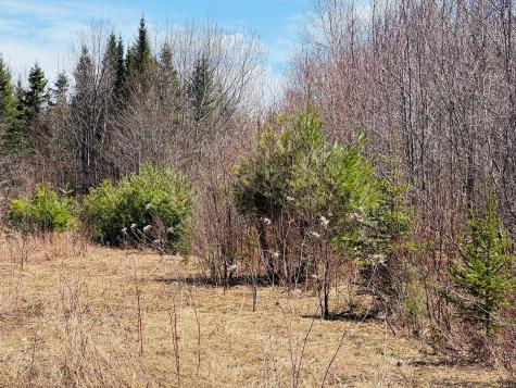 1B Aroostook Scenic Highway Hersey ME 04780