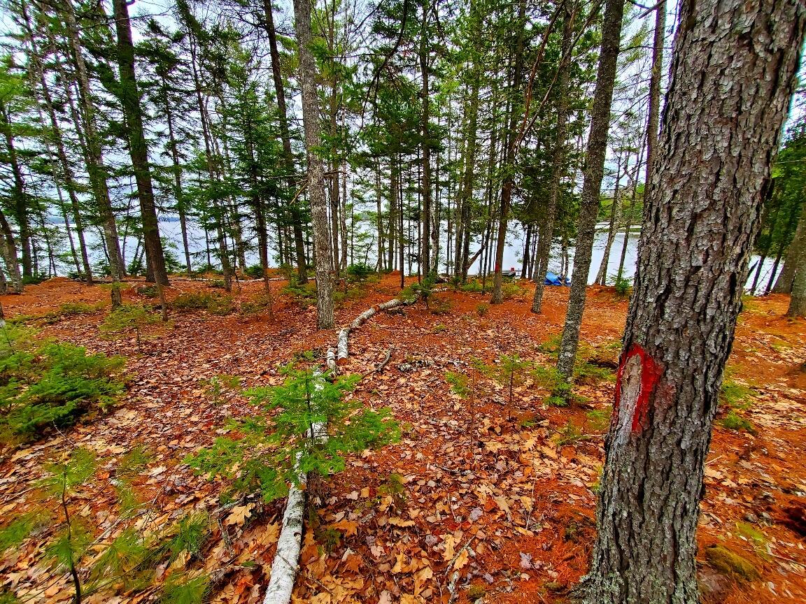 0 Jesses Beach Way Ellsworth ME 04605
