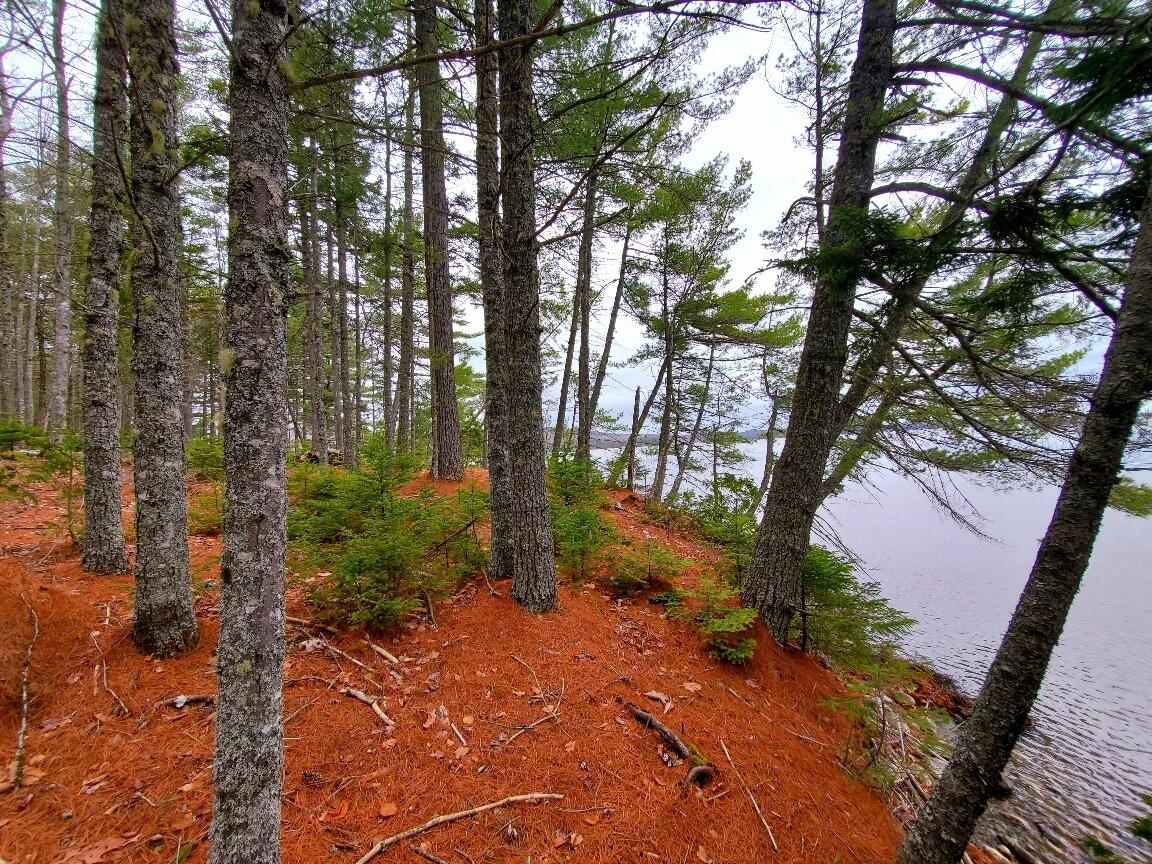 0 Jesses Beach Way Ellsworth ME 04605