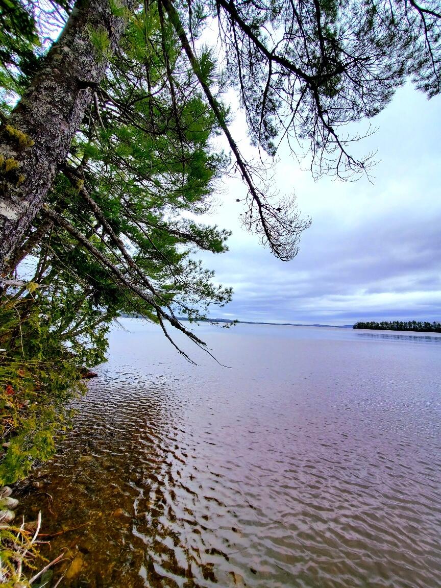 0 Jesses Beach Way Ellsworth ME 04605